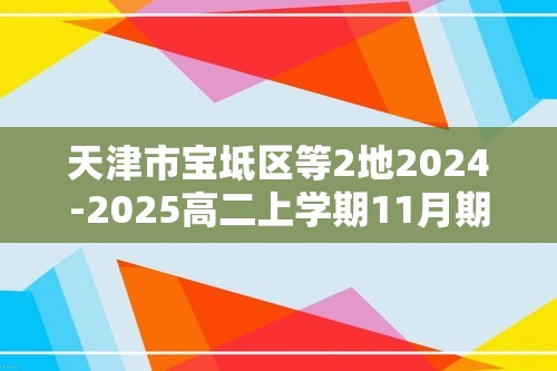 天津市宝坻区等2地2024-2025高二上学期11月期中考试 化学试题（答案）