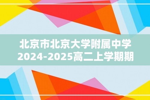 北京市北京大学附属中学2024-2025高二上学期期中考试化学试题（答案）