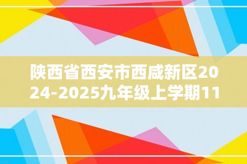 陕西省西安市西咸新区2024-2025九年级上学期11月期中考试化学试题（答案）