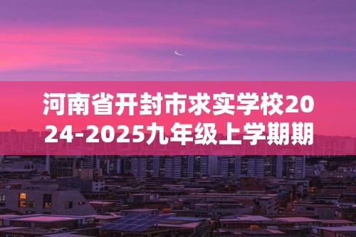 河南省开封市求实学校2024-2025九年级上学期期中考试化学试题（答案）