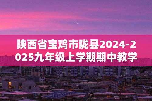 陕西省宝鸡市陇县2024-2025九年级上学期期中教学质量检测化学试卷（答案）