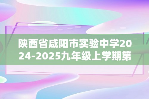 陕西省咸阳市实验中学2024-2025九年级上学期第二次质量检测化学试卷（答案）