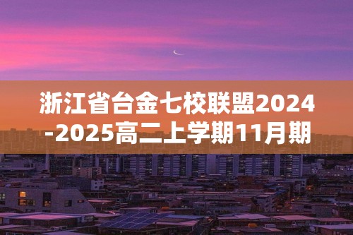 浙江省台金七校联盟2024-2025高二上学期11月期中联考化学试题 （答案）