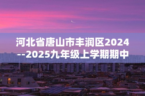 河北省唐山市丰润区2024--2025九年级上学期期中检测化学试卷（图片版含答案）