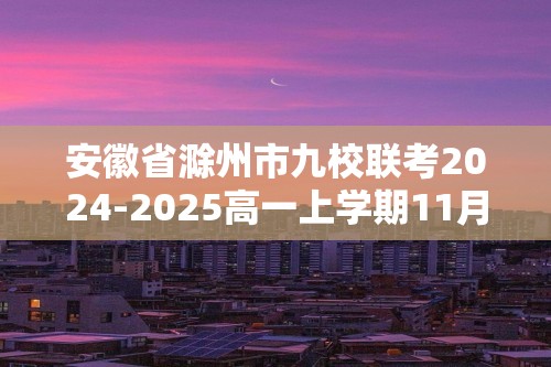 安徽省滁州市九校联考2024-2025高一上学期11月期中考试 化学试题（答案）