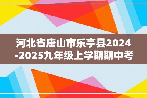 河北省唐山市乐亭县2024-2025九年级上学期期中考试化学试题（答案）