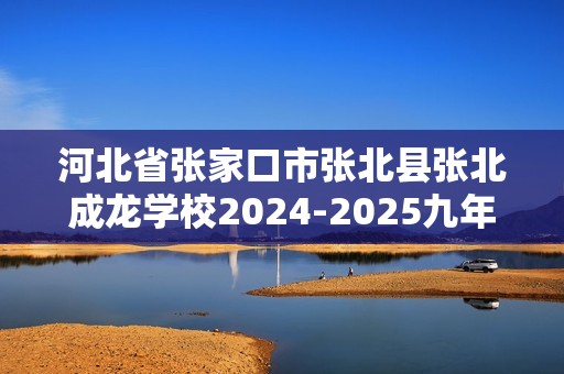 河北省张家口市张北县张北成龙学校2024-2025九年级上学期11月期中化学试题（答案）