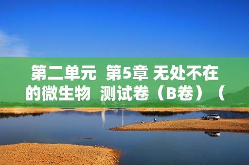 第二单元  第5章 无处不在的微生物  测试卷（B卷）（答案）2024-2025 苏教2024版七年级上册生物