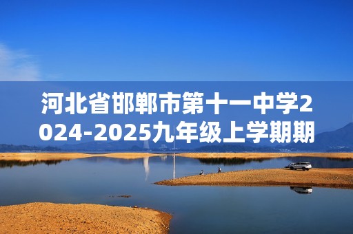 河北省邯郸市第十一中学2024-2025九年级上学期期中考试化学试题（答案）