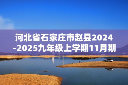 河北省石家庄市赵县2024-2025九年级上学期11月期中化学试题（答案）