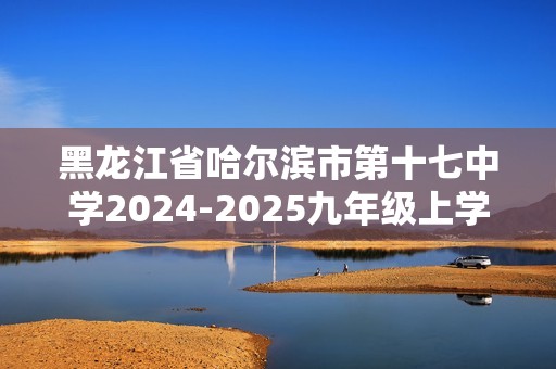 黑龙江省哈尔滨市第十七中学2024-2025九年级上学期期中检测化学试卷（答案）