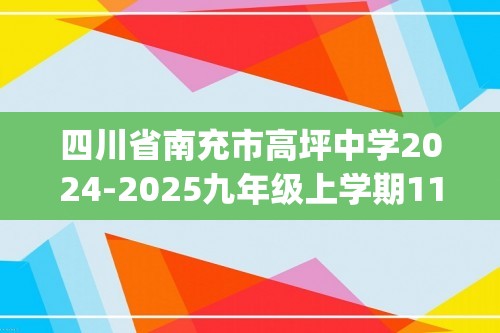 四川省南充市高坪中学2024-2025九年级上学期11月期中考试化学试题(答案)