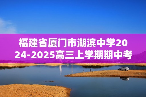 福建省厦门市湖滨中学2024-2025高三上学期期中考试  化学试题（答案）