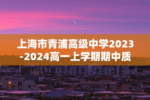 上海市青浦高级中学2023-2024高一上学期期中质量检测 化学试卷（答案）