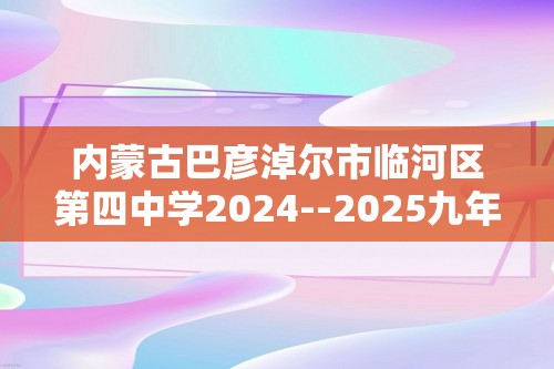 内蒙古巴彦淖尔市临河区第四中学2024--2025九年级上学期11月期中考试化学试题（无答案）