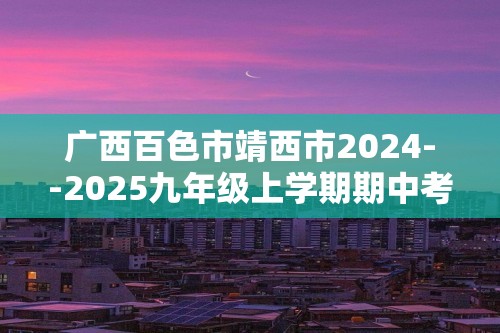 广西百色市靖西市2024--2025九年级上学期期中考试化学试卷（答案）