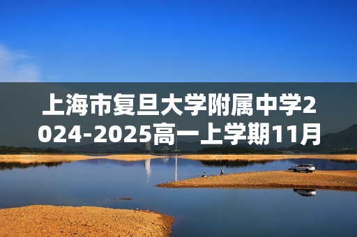 上海市复旦大学附属中学2024-2025高一上学期11月期中考试化学试题（答案）