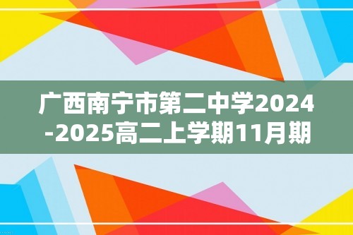 广西南宁市第二中学2024-2025高二上学期11月期中考试 化学试题 （答案）