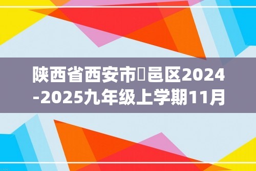 陕西省西安市鄠邑区2024-2025九年级上学期11月期中学情分析化学试题(答案)