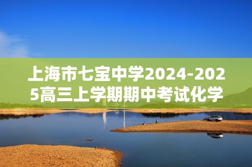 上海市七宝中学2024-2025高三上学期期中考试化学试卷（答案）