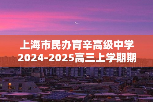 上海市民办育辛高级中学2024-2025高三上学期期中考试 化学试卷 （无答案）