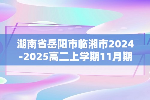 湖南省岳阳市临湘市2024-2025高二上学期11月期中考试 化学（答案）