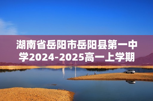 湖南省岳阳市岳阳县第一中学2024-2025高一上学期11月期中化学试题（答案）