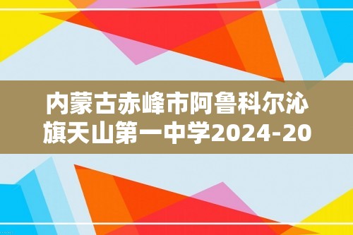 内蒙古赤峰市阿鲁科尔沁旗天山第一中学2024-2025高二上学期期中考试 化学试题（答案）