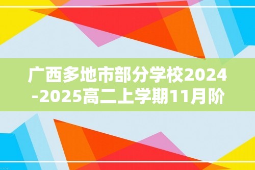 广西多地市部分学校2024-2025高二上学期11月阶段性考试 化学试题（图片版含答案）