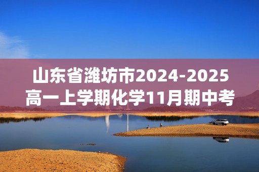 山东省潍坊市2024-2025高一上学期化学11月期中考试试卷（A）(无答案)