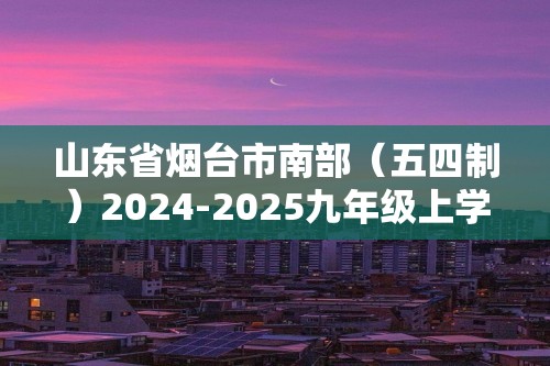 山东省烟台市南部（五四制）2024-2025九年级上学期期中考试化学试题（答案）