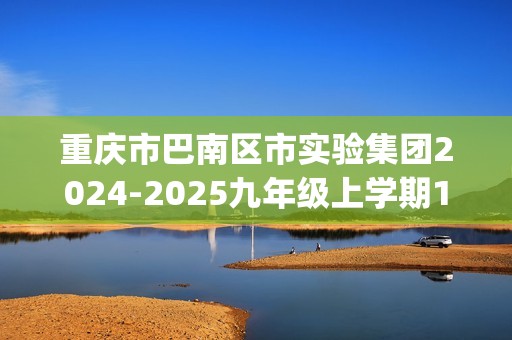 重庆市巴南区市实验集团2024-2025九年级上学期11月月考化学试题(图片版,含答案)