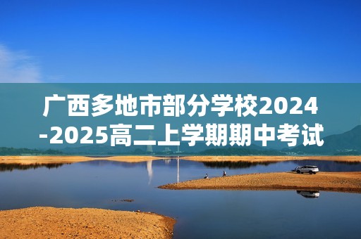 广西多地市部分学校2024-2025高二上学期期中考试化学试题（答案）