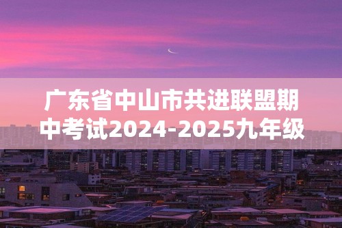 广东省中山市共进联盟期中考试2024-2025九年级上学期11月期中化学试题（答案）