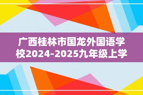 广西桂林市国龙外国语学校2024-2025九年级上学期期中考试化学试题