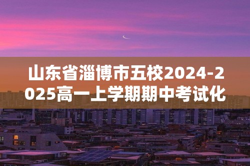 山东省淄博市五校2024-2025高一上学期期中考试化学试卷（答案）