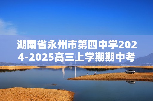 湖南省永州市第四中学2024-2025高三上学期期中考试化学试题（答案）