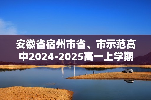 安徽省宿州市省、市示范高中2024-2025高一上学期11月期中考试 化学（答案）