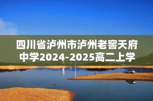 四川省泸州市泸州老窖天府中学2024-2025高二上学期半期（期中）考试化学试题（答案）