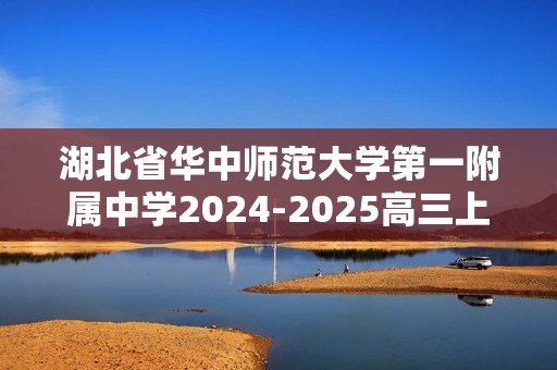 湖北省华中师范大学第一附属中学2024-2025高三上学期期中检测化学试卷（答案）