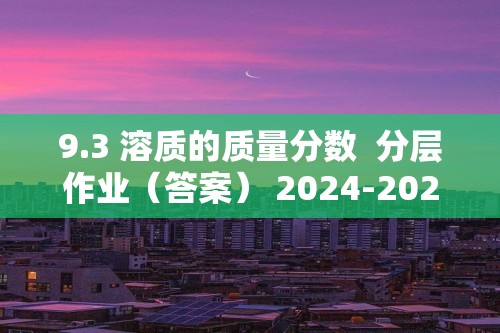 9.3 溶质的质量分数  分层作业（答案） 2024-2025化学人教版九年级下册