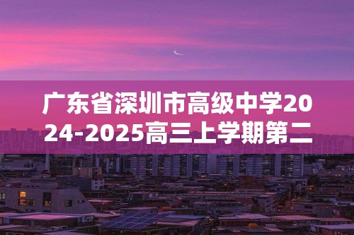 广东省深圳市高级中学2024-2025高三上学期第二次诊断考试 化学试题（答案）