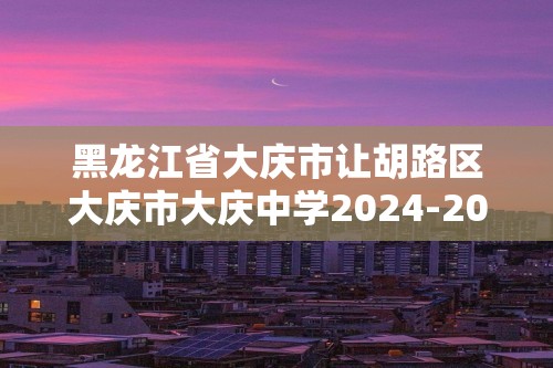 黑龙江省大庆市让胡路区大庆市大庆中学2024-2025高二上学期11月期中化学试题（答案）