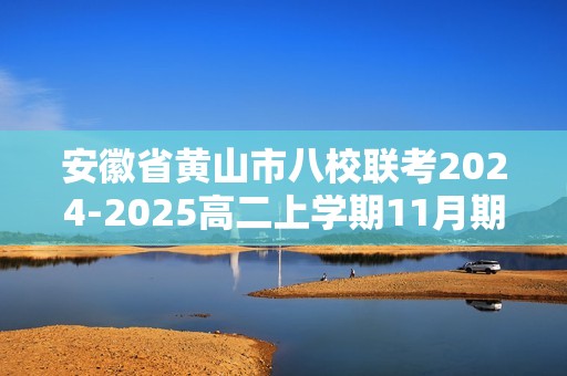 安徽省黄山市八校联考2024-2025高二上学期11月期中考试化学试卷（答案）