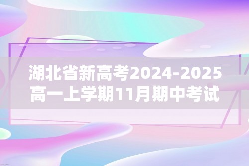 湖北省新高考2024-2025高一上学期11月期中考试化学试卷（答案）