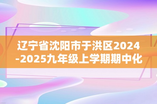 辽宁省沈阳市于洪区2024-2025九年级上学期期中化学试卷（图片版含答案）