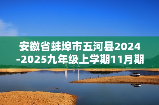 安徽省蚌埠市五河县2024-2025九年级上学期11月期中联考化学试题（答案）