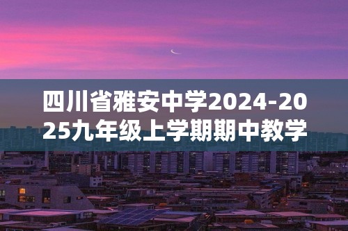 四川省雅安中学2024-2025九年级上学期期中教学质量评估化学试题（图片版含答案）