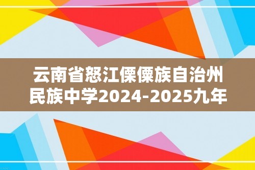 云南省怒江傈僳族自治州民族中学2024-2025九年级上学期一模化学试题（答案）