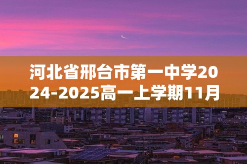 河北省邢台市第一中学2024-2025高一上学期11月第三次月考化学试题 （答案）